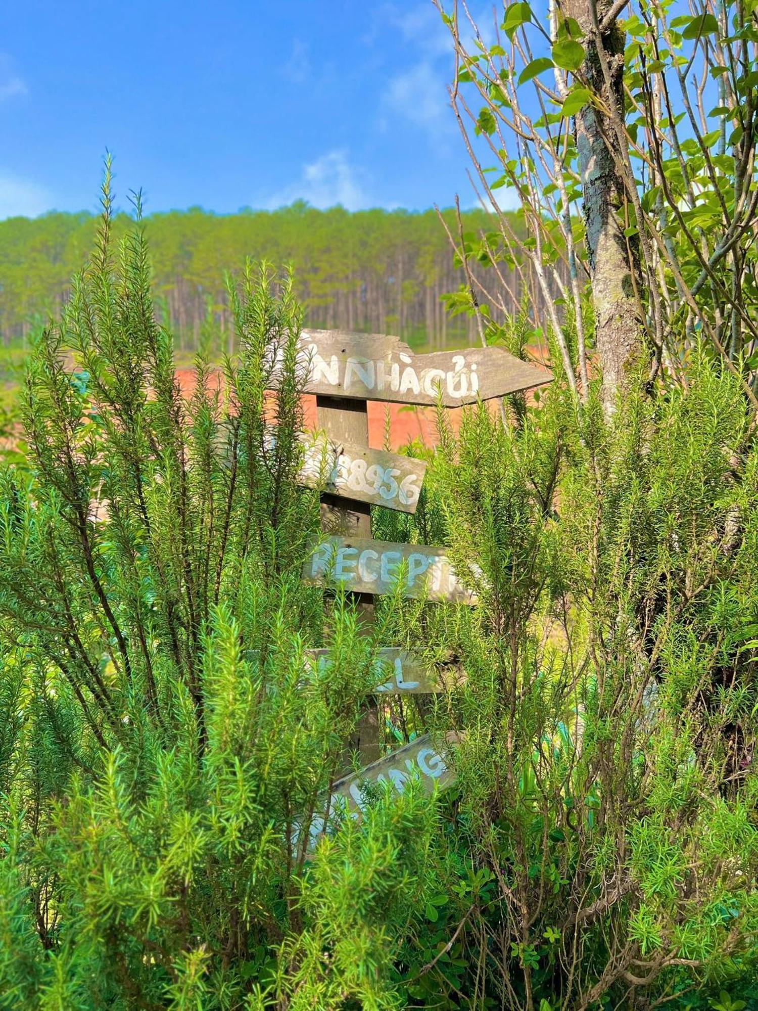 Vuon Nha Cui Homestay ダラット エクステリア 写真