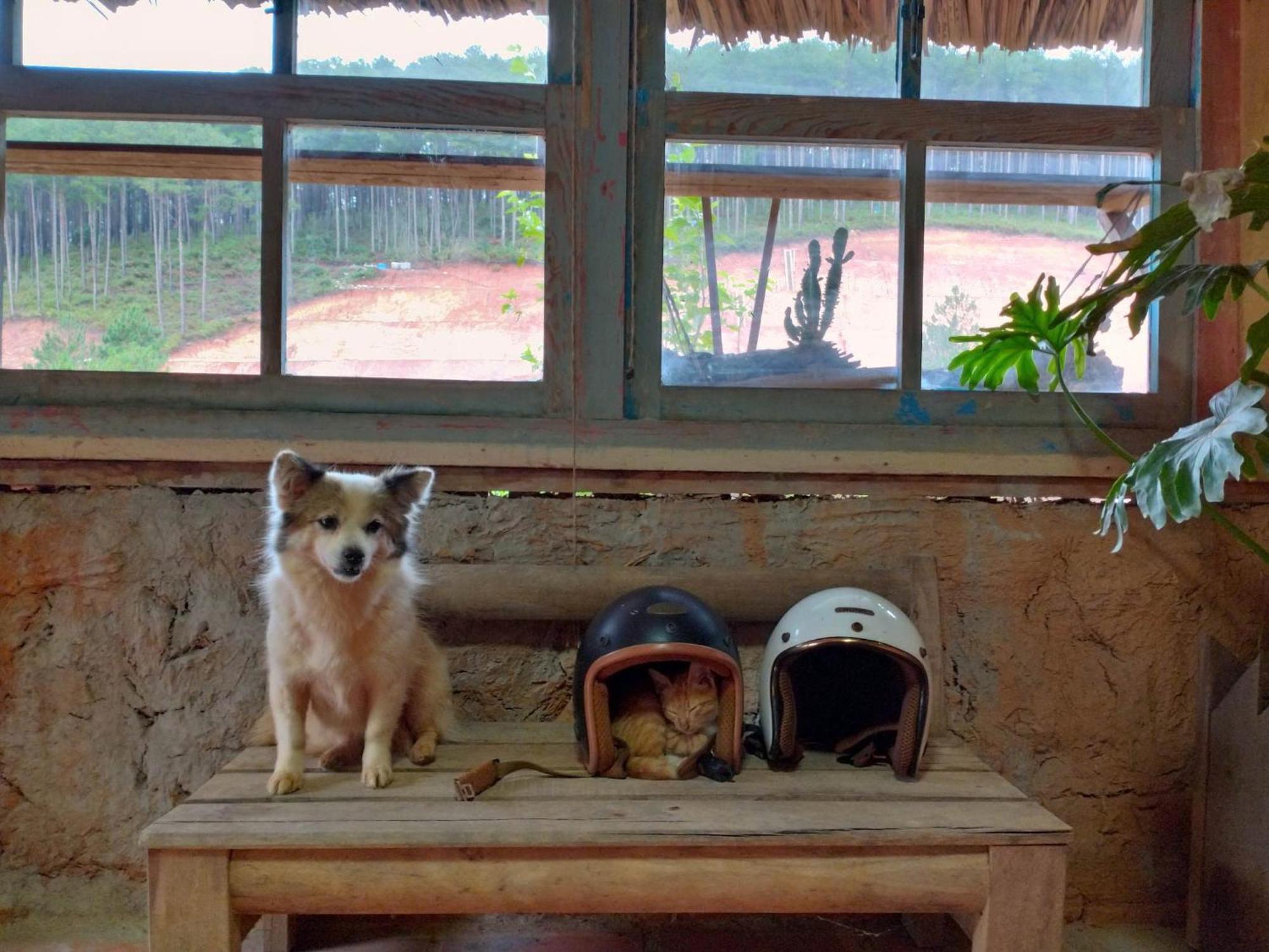 Vuon Nha Cui Homestay ダラット エクステリア 写真